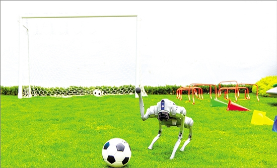 1945285458408964106_1280px